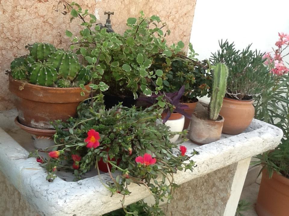 B&B Al Giardinetto Verona Dış mekan fotoğraf